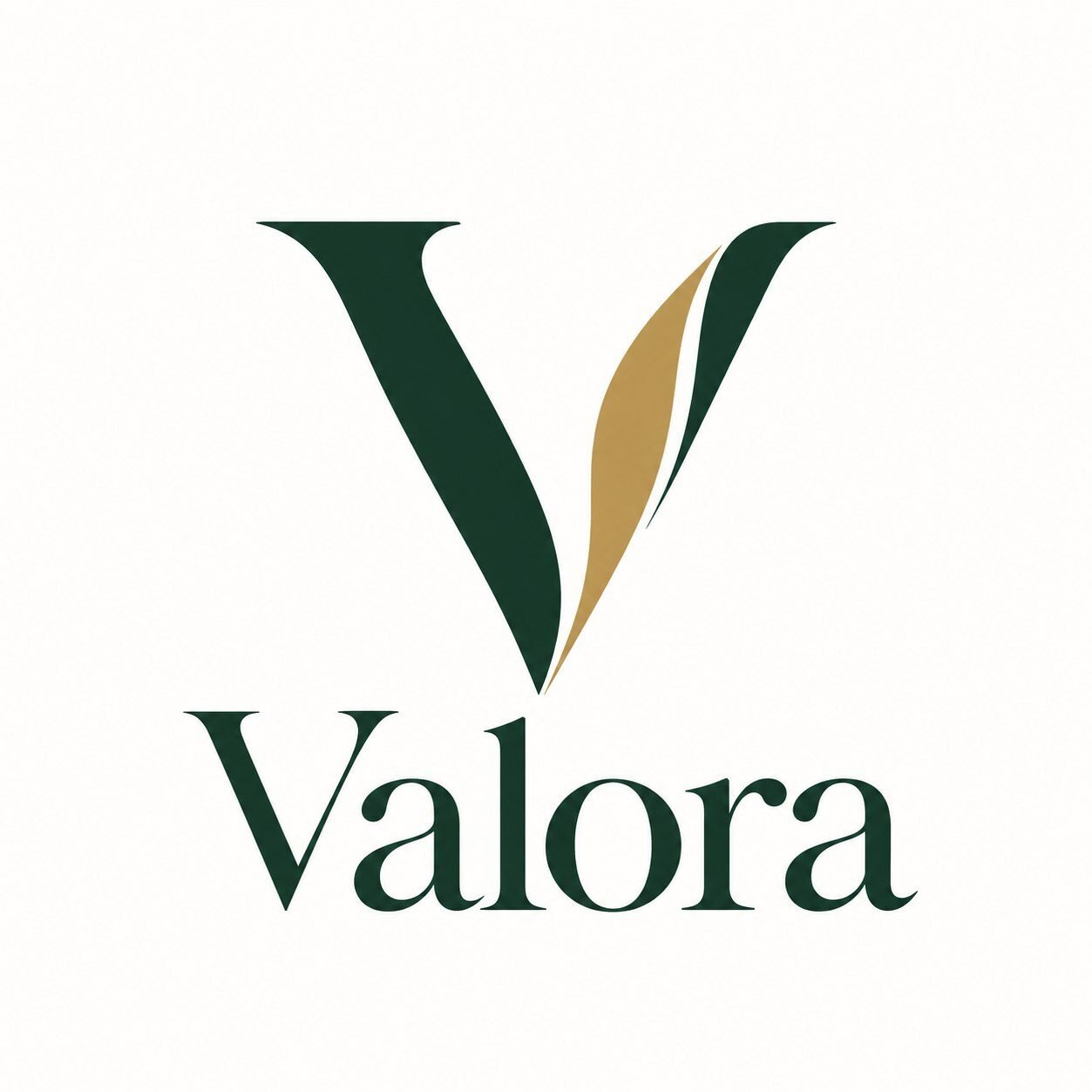 valoraa.top
